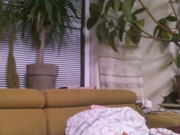 Donwollo  17-11-2021 video slaved